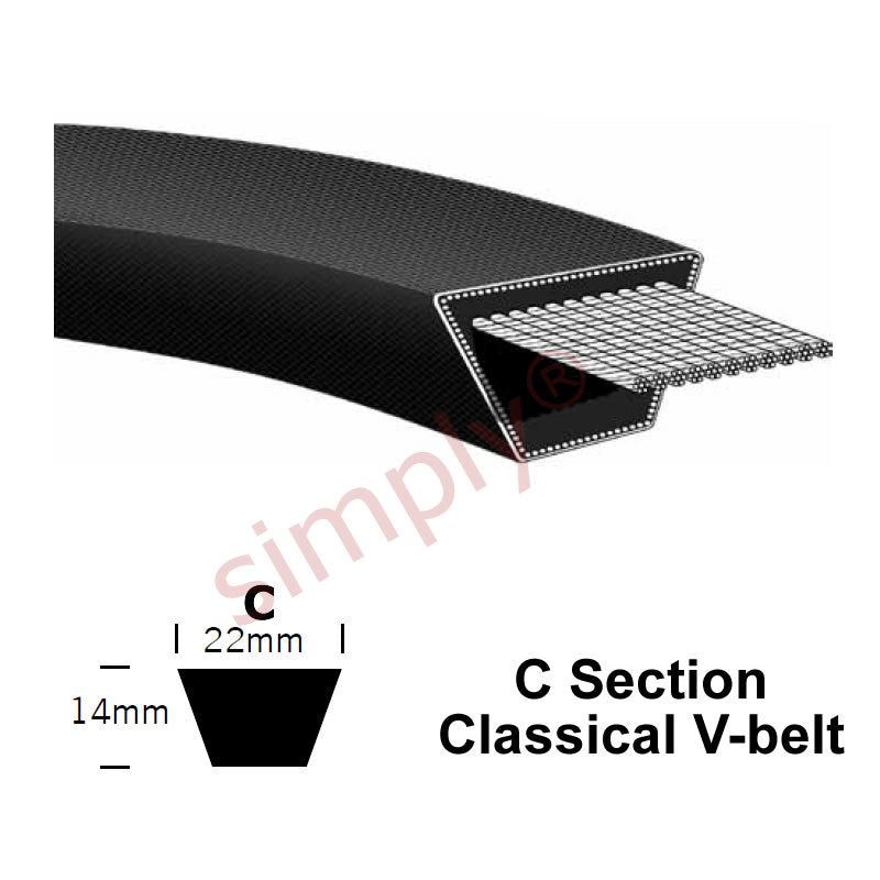 C204 Pix Classical C-Section Muscle V-Belt