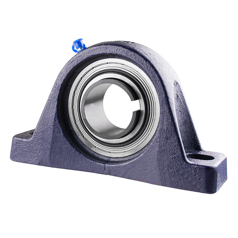 RHP MP1035-1-3/16K Two Bolt Cast Iron Pillow Block with Insert and H307/1-3/16 Taper Sleeve = 1-3/16 inch Shaft Size