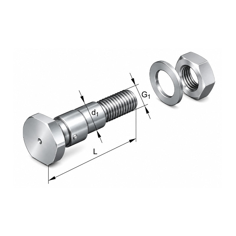 INA LFE12-45-A1-RB Pins - Allow 1-2 Days - Contact Us For Faster Delivery
