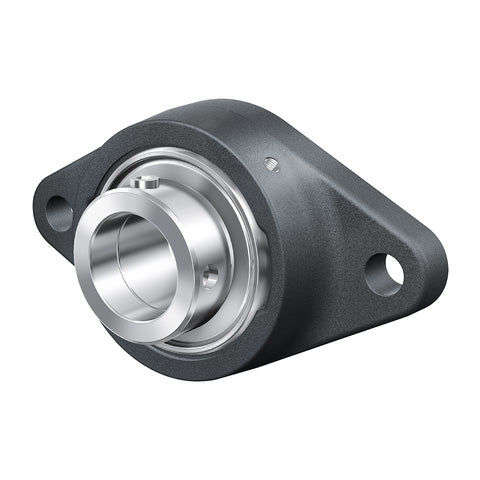 INA PCFT30XL Two Bolt Cast Iron Oval Housing with Eccentric Collar Insert 30mm Bore