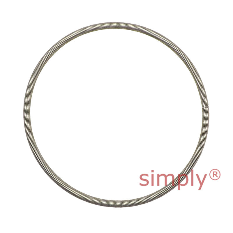 Stainless Steel Spring to Fit Rotary Shaft Seals with a Shaft Size of 60mm