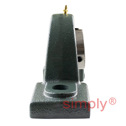 NTN UCPX08D1 Metric Cast Iron Two Bolt Pillow / Plummer Block Housing with 40mm Bore Insert